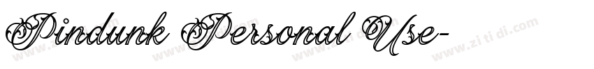Pindunk Personal Use字体转换